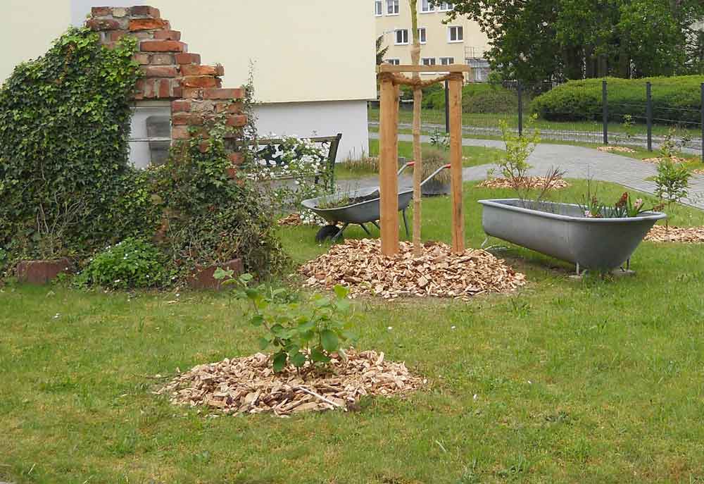 ASB-Tagespflege-Wilkau_02.jpg